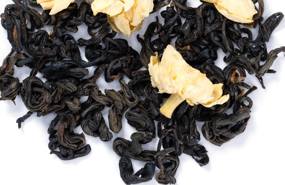 Black Jasmine