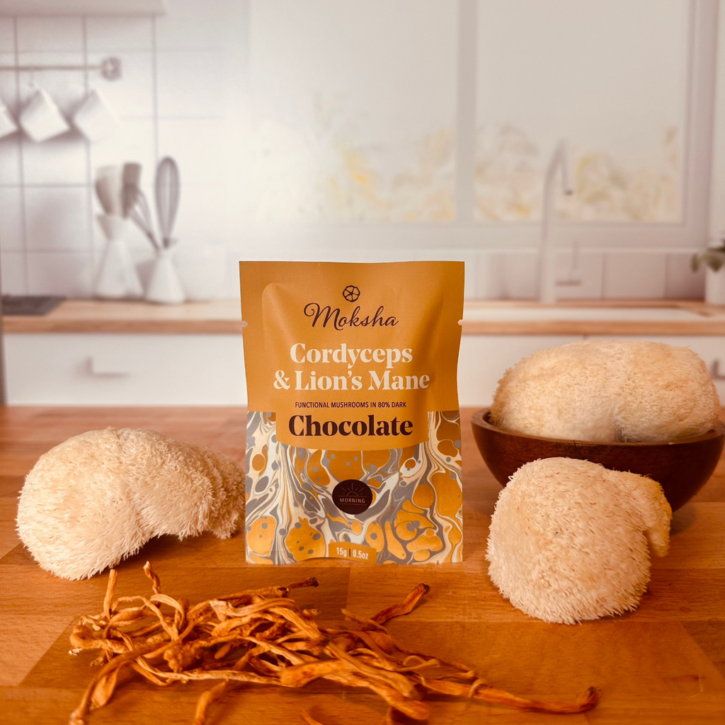 Summit Reserve™ Cordyceps & Lion's Mane Mushroom Chocolate Squares