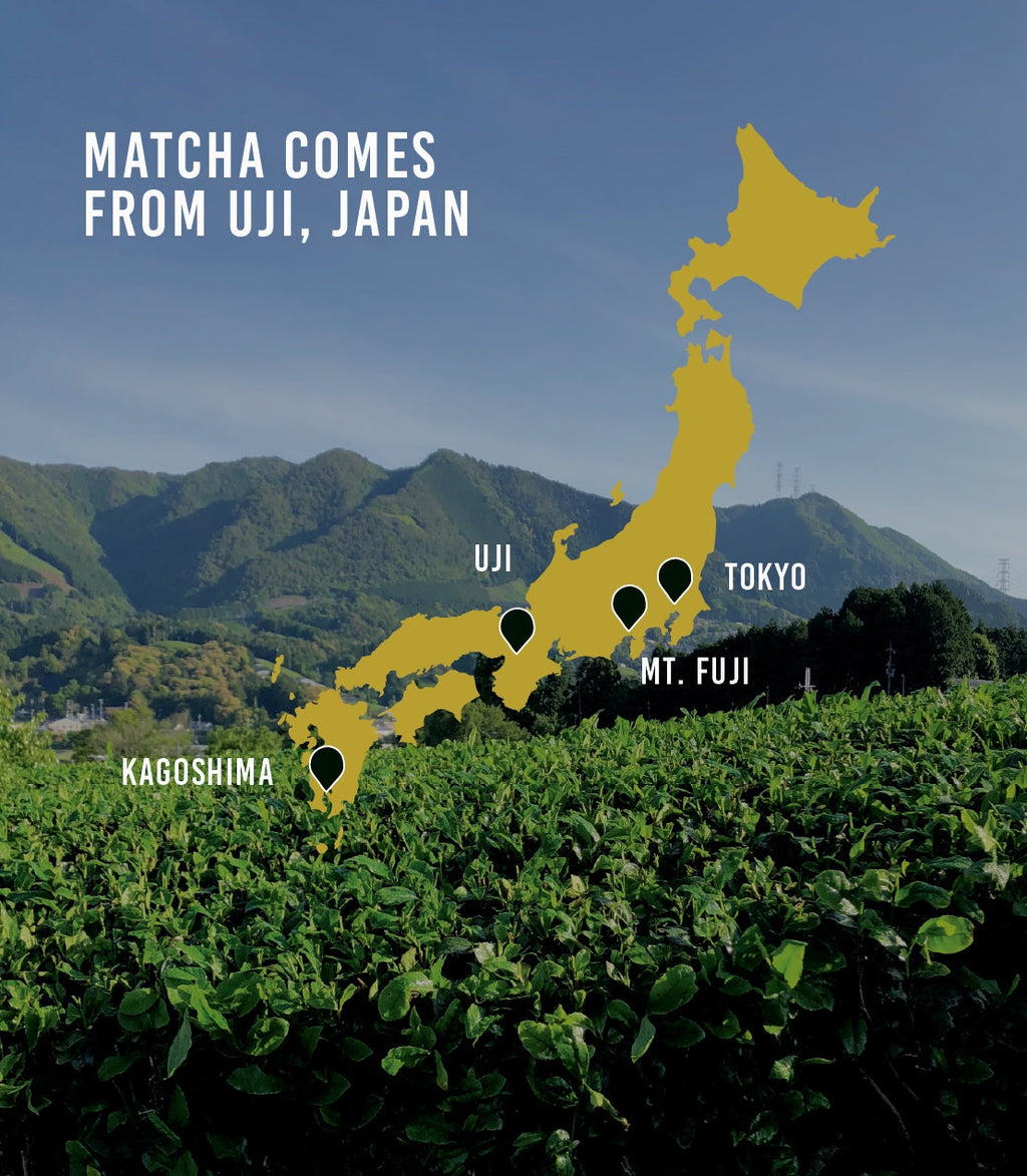 Organic Matcha