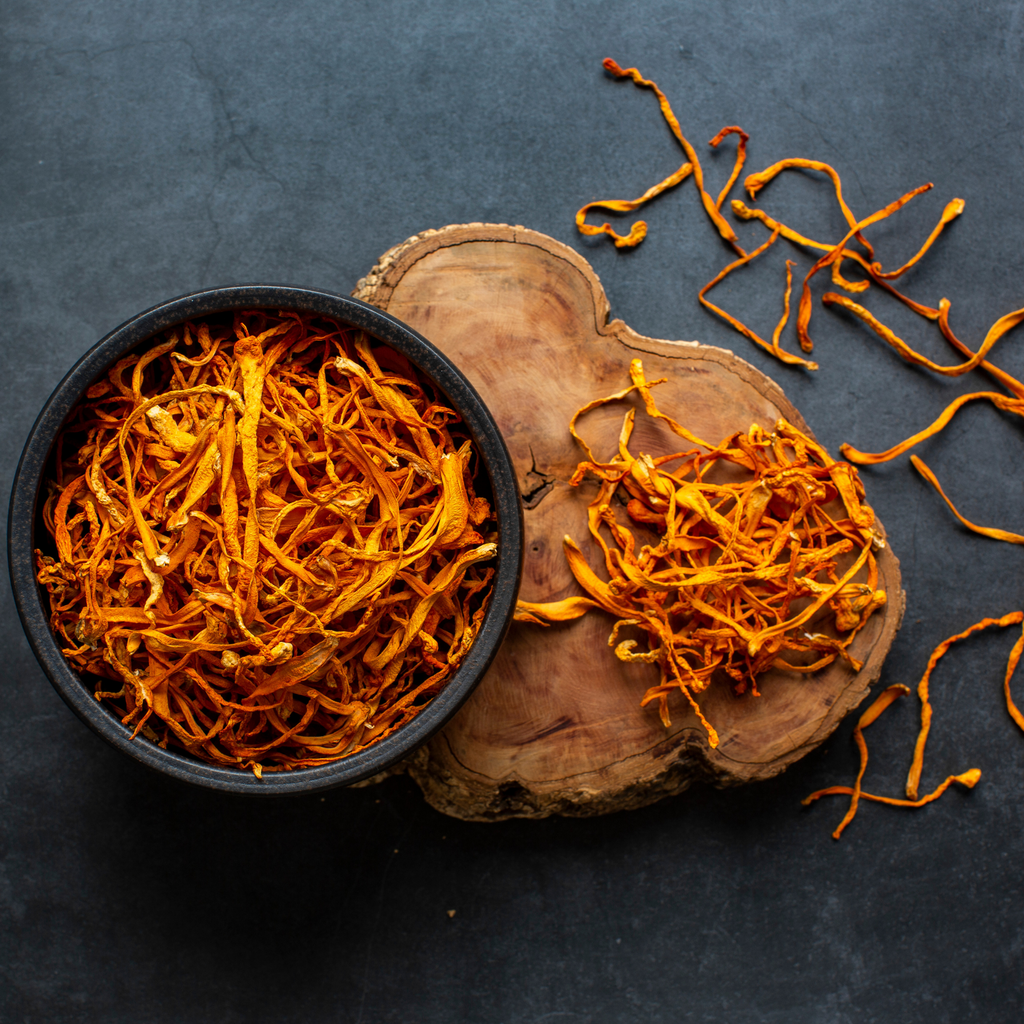 Summit Reserve™ Cordyceps & Lion's Mane Mushroom Chocolate Squares